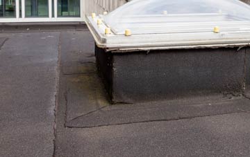 disadvantages of Webheath flat roofs
