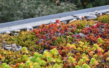 the cost of Webheath green roof installation
