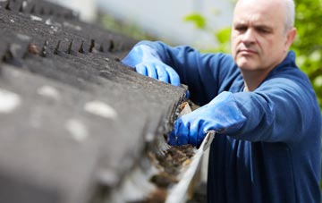 cleaning and inspecting Webheath roofs