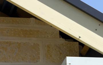 soffit repair Webheath