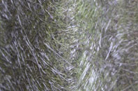 Webheath fibreglass roof work